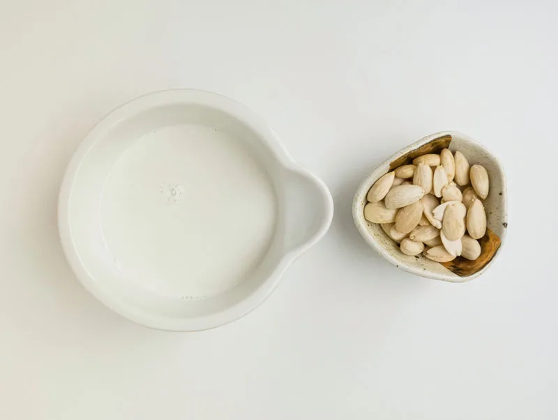 Pflanzenprotein bringt den Markt für nahrhafte Getränke zum Explodieren, und der Markt für Pflanzenprotein hat eine glänzende Zukunft 1 organic plant protein jpg