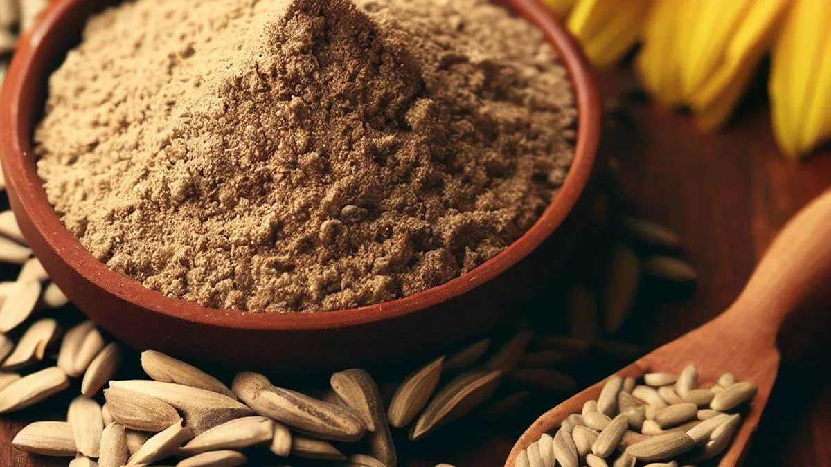 Vorteile und Rezepte mit Bio-Sonnenblumenkernprotein – der ultimative Leitfaden 1 The Ultimate Guide to Organic Sunflower Seed Protein: Benefits and Recipes