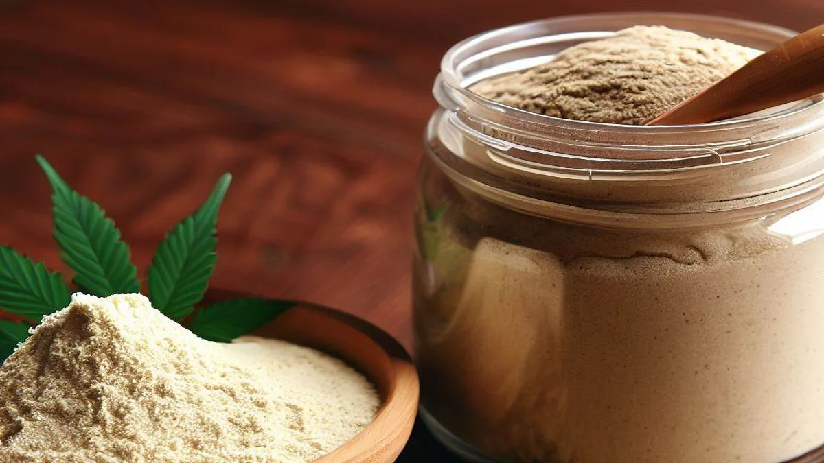 Die gesundheitlichen Vorteile von Bio-Hanfsamenprotein 1 The Health Benefits of Organic Hemp Seed Protein