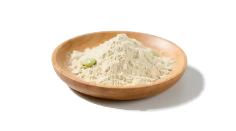 Bio-Ackerbohnenprotein-Pulver 2 Organic Fava Bean Protein Powder